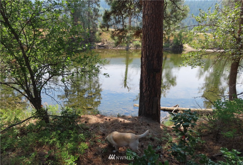 19110 Hwy 21, Danville, Washington 99121, ,Land,For Sale,BOULOS SP#92-004,Hwy 21,NWM1865175