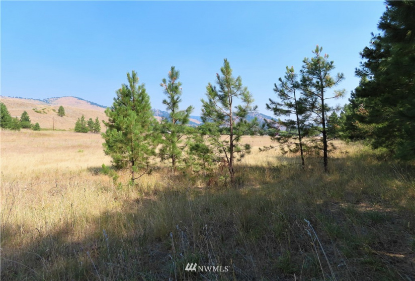 19110 Hwy 21, Danville, Washington 99121, ,Land,For Sale,BOULOS SP#92-004,Hwy 21,NWM1865175