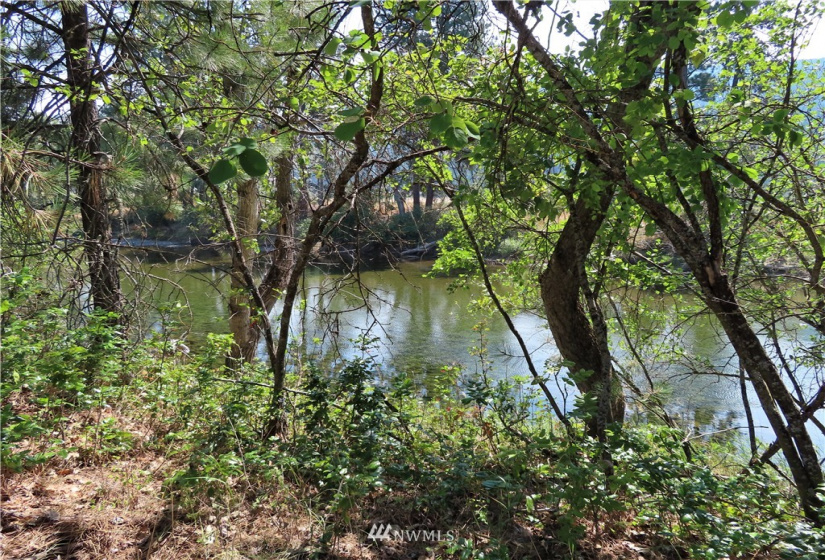 19110 Hwy 21, Danville, Washington 99121, ,Land,For Sale,BOULOS SP#92-004,Hwy 21,NWM1865175