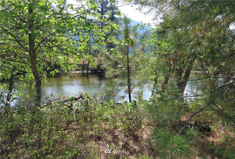 19110 Hwy 21, Danville, Washington 99121, ,Land,For Sale,BOULOS SP#92-004,Hwy 21,NWM1865175