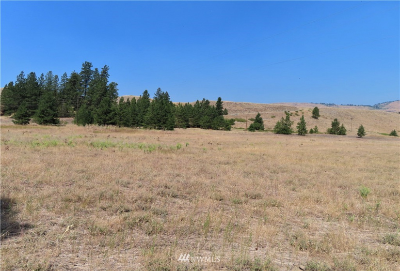 19110 Hwy 21, Danville, Washington 99121, ,Land,For Sale,BOULOS SP#92-004,Hwy 21,NWM1865175