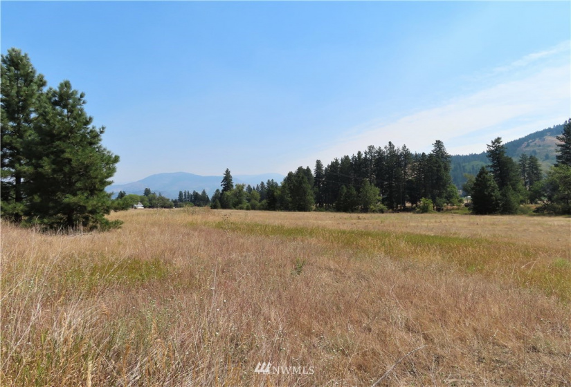 19110 Hwy 21, Danville, Washington 99121, ,Land,For Sale,BOULOS SP#92-004,Hwy 21,NWM1865175