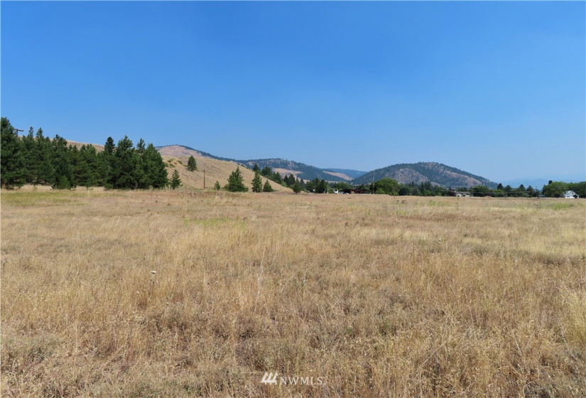 19110 Hwy 21, Danville, Washington 99121, ,Land,For Sale,BOULOS SP#92-004,Hwy 21,NWM1865175