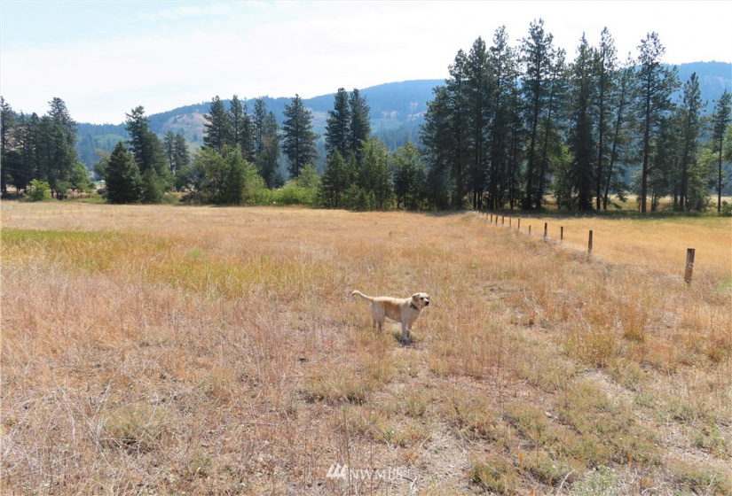 19110 Hwy 21, Danville, Washington 99121, ,Land,For Sale,BOULOS SP#92-004,Hwy 21,NWM1865175