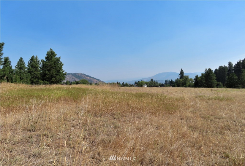 19110 Hwy 21, Danville, Washington 99121, ,Land,For Sale,BOULOS SP#92-004,Hwy 21,NWM1865175
