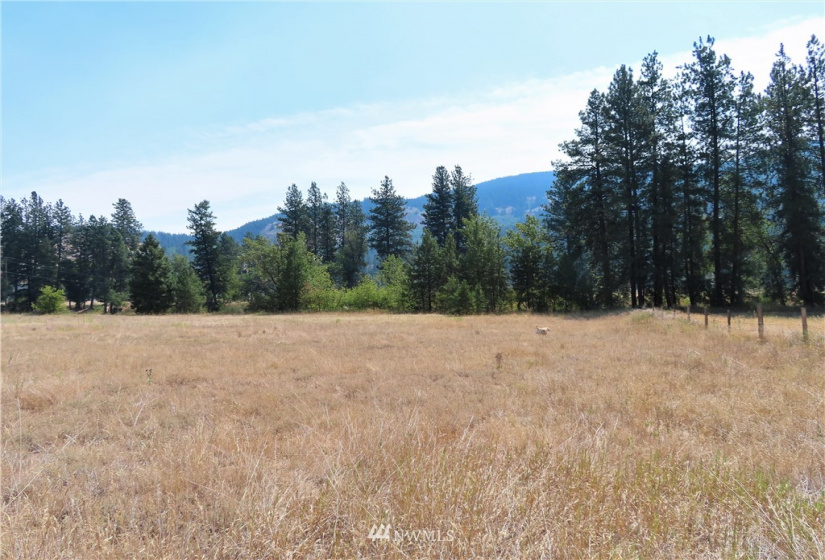 19110 Hwy 21, Danville, Washington 99121, ,Land,For Sale,BOULOS SP#92-004,Hwy 21,NWM1865175