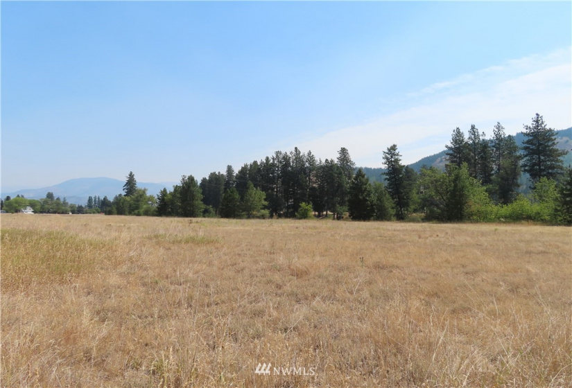 19110 Hwy 21, Danville, Washington 99121, ,Land,For Sale,BOULOS SP#92-004,Hwy 21,NWM1865175