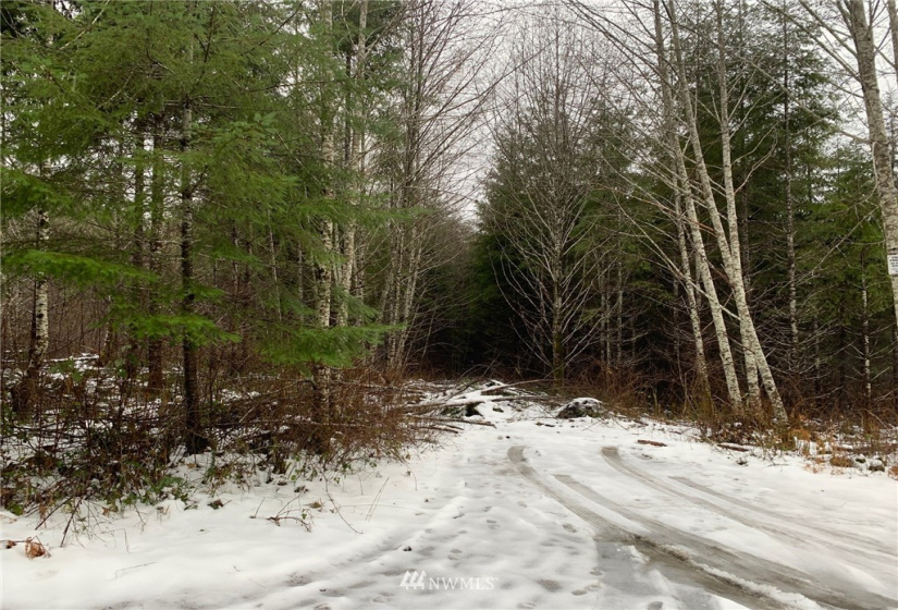 0 xxx Greenwood, Hoquiam, Washington 98550, ,Land,For Sale,Greenwood,NWM1872029