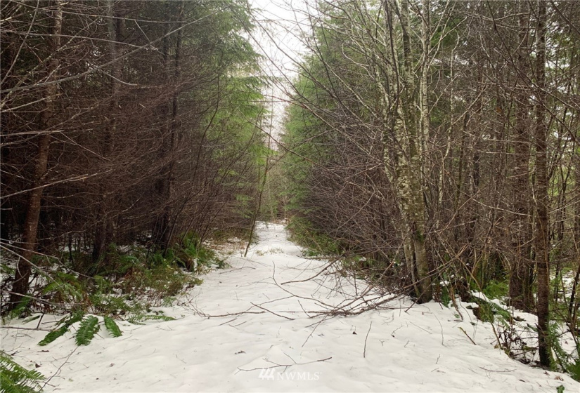 0 xxx Greenwood, Hoquiam, Washington 98550, ,Land,For Sale,Greenwood,NWM1872029