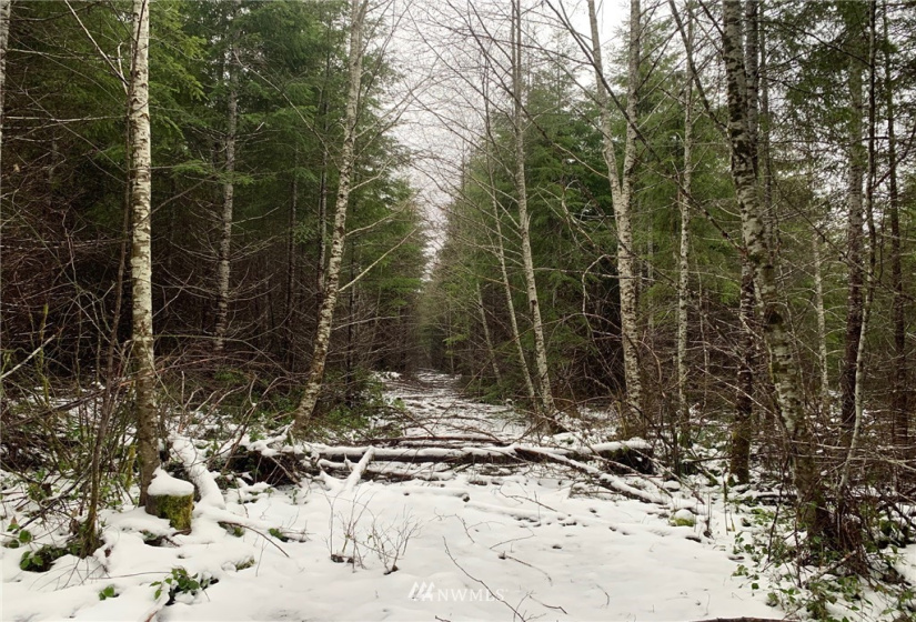 0 xxx Greenwood, Hoquiam, Washington 98550, ,Land,For Sale,Greenwood,NWM1872029