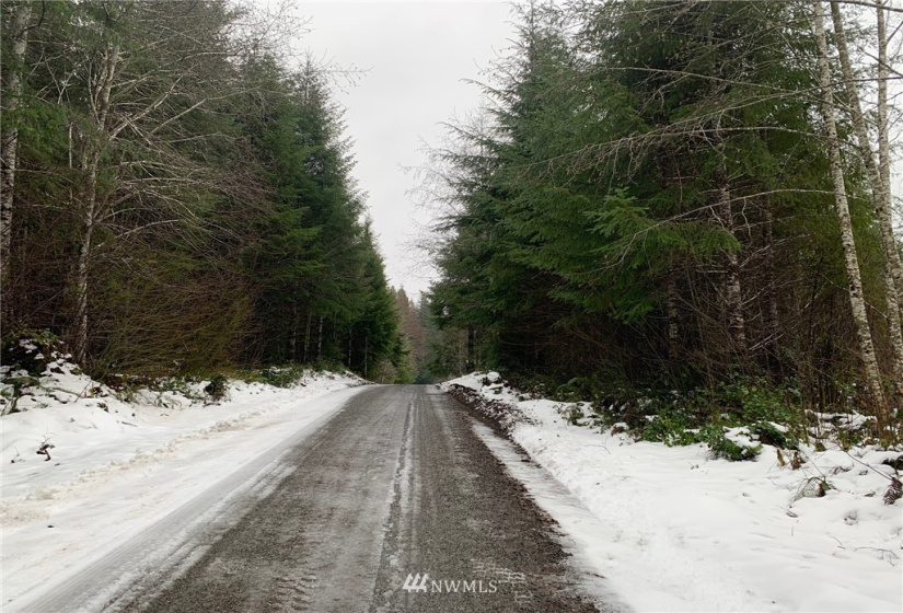 0 xxx Greenwood, Hoquiam, Washington 98550, ,Land,For Sale,Greenwood,NWM1872029