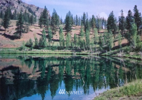 9 Crumbacher Lake, Tonasket, Washington 98855, ,Land,For Sale,Lake Ridge Estates,Crumbacher Lake,NWM1872444