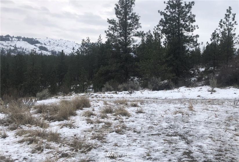 9 Crumbacher Lake, Tonasket, Washington 98855, ,Land,For Sale,Lake Ridge Estates,Crumbacher Lake,NWM1872444