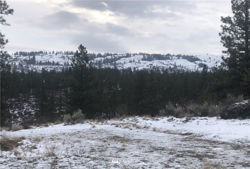 9 Crumbacher Lake, Tonasket, Washington 98855, ,Land,For Sale,Lake Ridge Estates,Crumbacher Lake,NWM1872444
