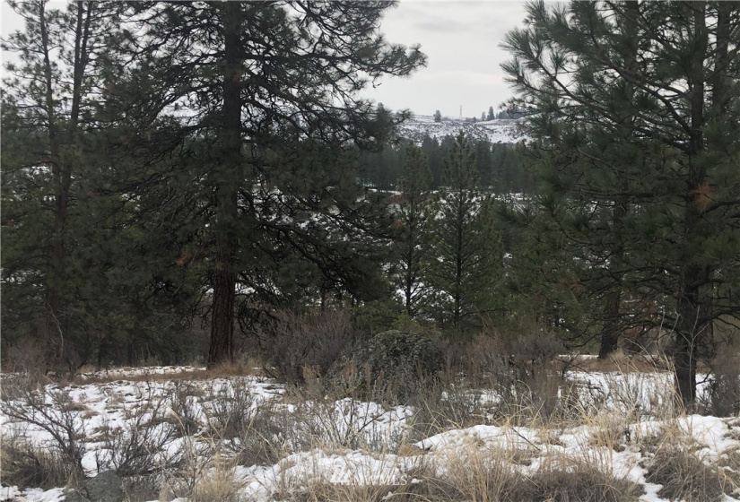 9 Crumbacher Lake, Tonasket, Washington 98855, ,Land,For Sale,Lake Ridge Estates,Crumbacher Lake,NWM1872444