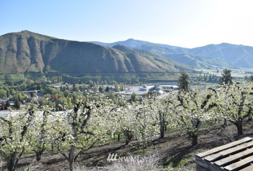 0 NNA Kennedy, Cashmere, Washington 98815, ,Land,For Sale,NNA Kennedy,NWM1872093