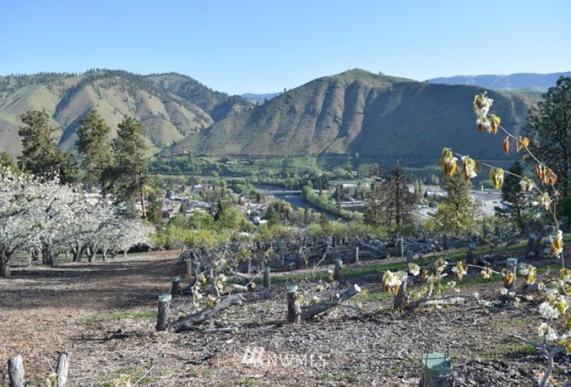 0 NNA Kennedy, Cashmere, Washington 98815, ,Land,For Sale,NNA Kennedy,NWM1872093