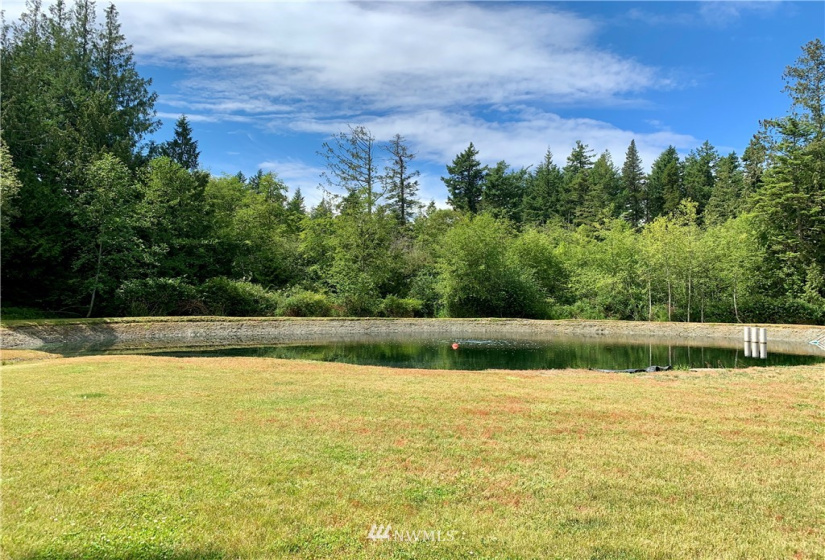 555 Petrich, Friday Harbor, Washington 98250, 3 Bedrooms Bedrooms, ,1 BathroomBathrooms,Residential,For Sale,Bridle Trails Estates,Petrich,NWM1872664