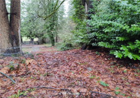0 415th, Eatonville, Washington 98328, ,Land,For Sale,Forest Ridge Estates,415th,NWM1872509