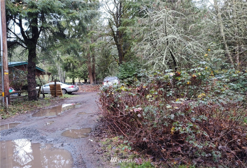 0 415th, Eatonville, Washington 98328, ,Land,For Sale,Forest Ridge Estates,415th,NWM1872509