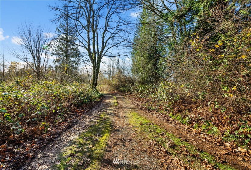 5555 12TH, Tacoma, Washington 98422, ,Land,For Sale,12TH,NWM1871991