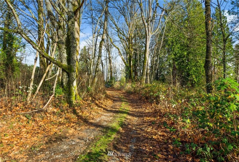 5555 12TH, Tacoma, Washington 98422, ,Land,For Sale,12TH,NWM1871991