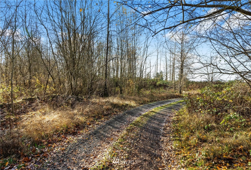 5555 12TH, Tacoma, Washington 98422, ,Land,For Sale,12TH,NWM1871991