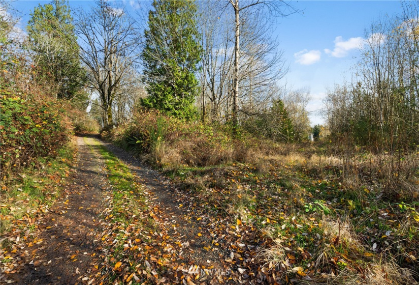5555 12TH, Tacoma, Washington 98422, ,Land,For Sale,12TH,NWM1871991