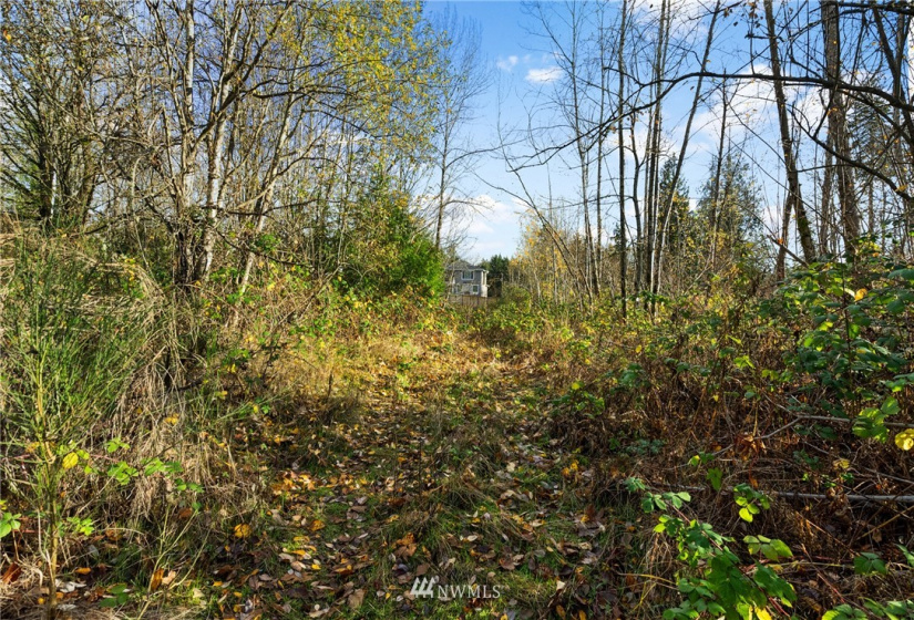 5555 12TH, Tacoma, Washington 98422, ,Land,For Sale,12TH,NWM1871991