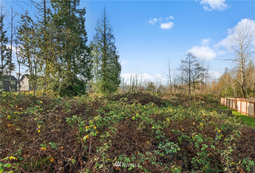 5555 12TH, Tacoma, Washington 98422, ,Land,For Sale,12TH,NWM1871991