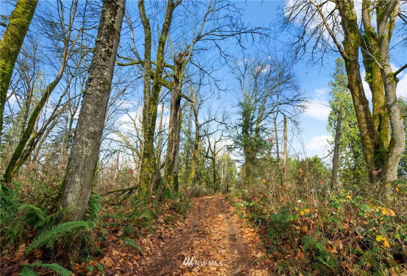 5555 12TH, Tacoma, Washington 98422, ,Land,For Sale,12TH,NWM1871991