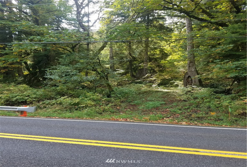 8801 Snoqualmie Valley, Carnation, Washington 98014, ,Land,For Sale,Rural Carnation,Snoqualmie Valley,NWM1871858
