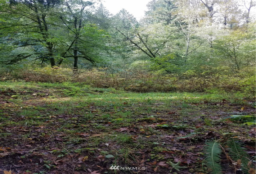 8801 Snoqualmie Valley, Carnation, Washington 98014, ,Land,For Sale,Rural Carnation,Snoqualmie Valley,NWM1871858