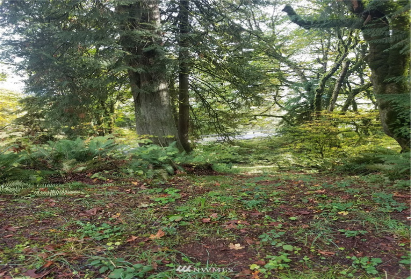 8801 Snoqualmie Valley, Carnation, Washington 98014, ,Land,For Sale,Rural Carnation,Snoqualmie Valley,NWM1871858