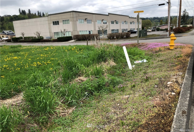 900 Lots 1-4 Algona, Algona, Washington 98001, ,Land,For Sale,Algona,NWM1872928