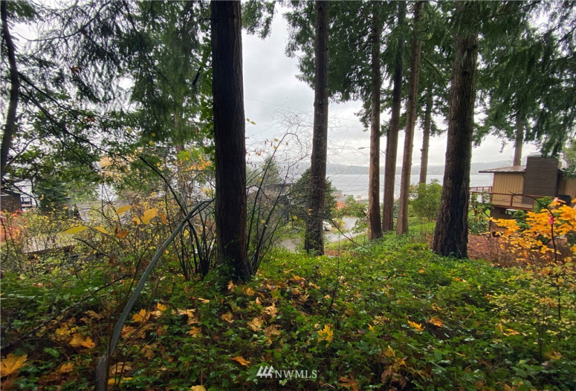 0 59th, Kenmore, Washington 98028, ,Land,For Sale,Arrowhead Point,59th,NWM1872359