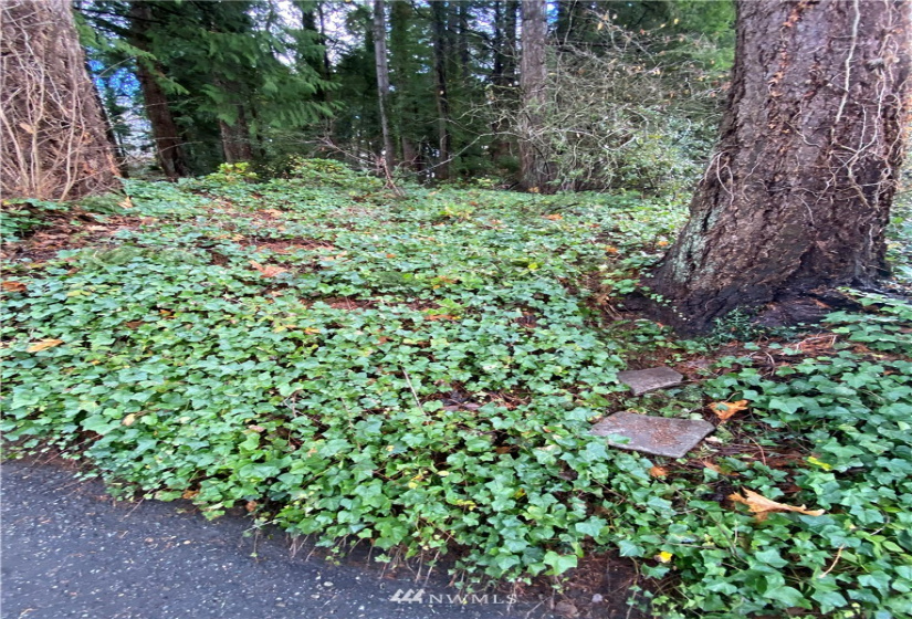 0 59th, Kenmore, Washington 98028, ,Land,For Sale,Arrowhead Point,59th,NWM1872359