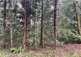 0 Friar Creek Rd, Monroe, Washington 98272, ,Land,For Sale,Friar Creek Rd,NWM1873010