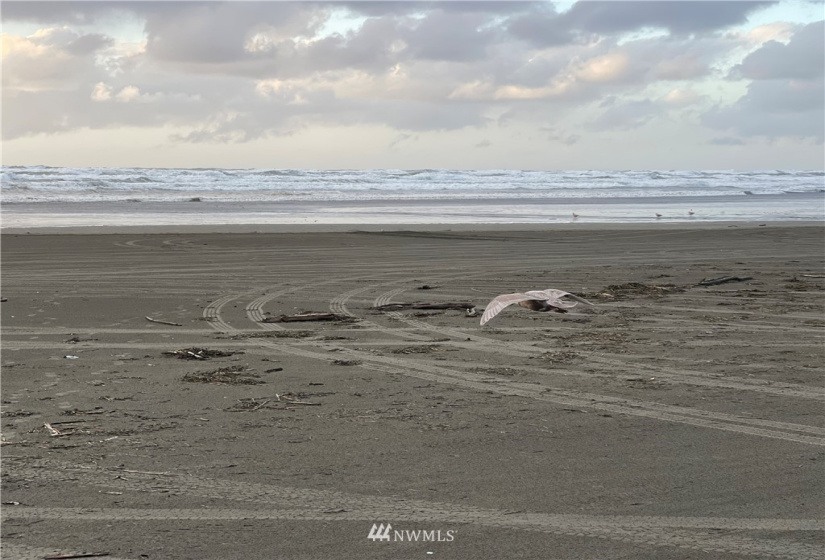 757 Ocean ct nw unit#20, Ocean Shores, Washington 98569, ,Residential,For Sale,surfview,Ocean ct nw unit#20,NWM1871882