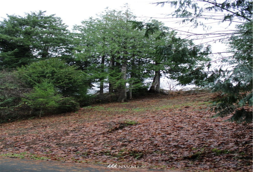 2333 Crestridge, Olympia, Washington 98502, ,Land,For Sale,Crestridge,NWM1873180