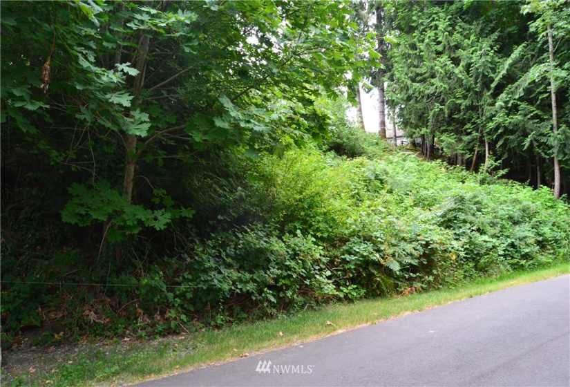 2333 Crestridge, Olympia, Washington 98502, ,Land,For Sale,Crestridge,NWM1873180