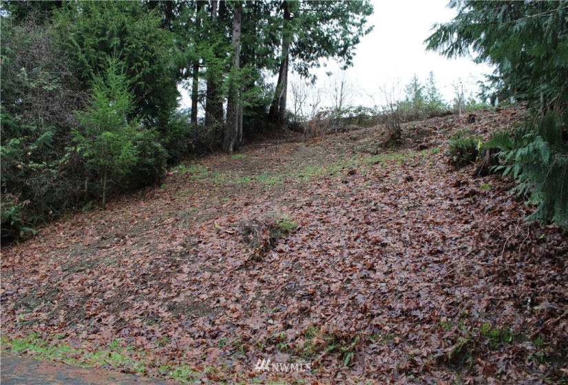 2333 Crestridge, Olympia, Washington 98502, ,Land,For Sale,Crestridge,NWM1873180