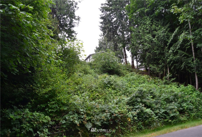 2333 Crestridge, Olympia, Washington 98502, ,Land,For Sale,Crestridge,NWM1873180
