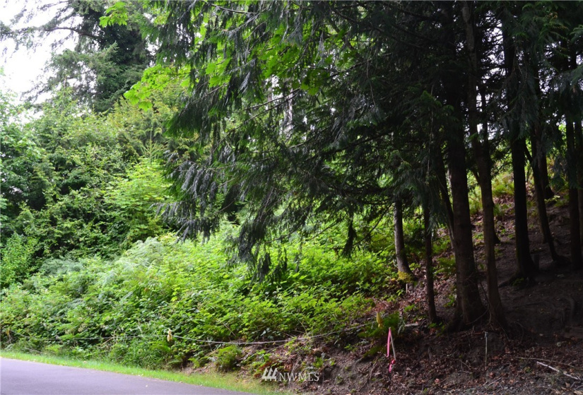 2333 Crestridge, Olympia, Washington 98502, ,Land,For Sale,Crestridge,NWM1873180