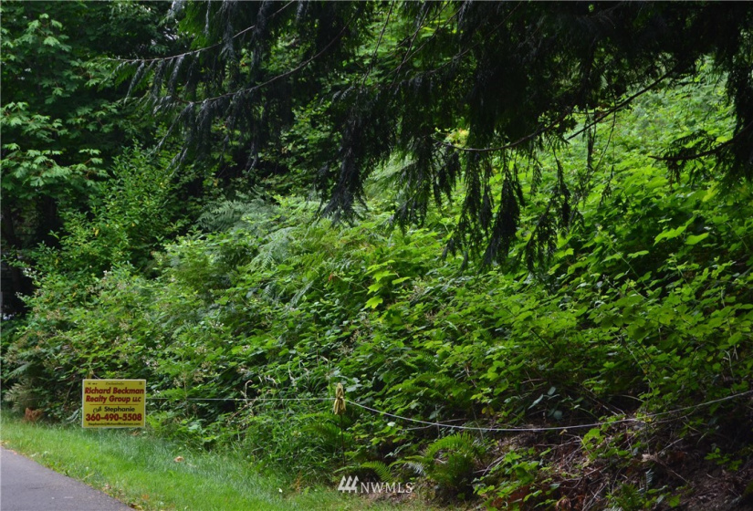 2333 Crestridge, Olympia, Washington 98502, ,Land,For Sale,Crestridge,NWM1873180