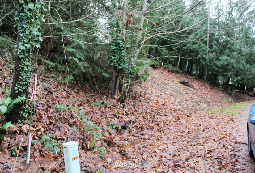 2333 Crestridge, Olympia, Washington 98502, ,Land,For Sale,Crestridge,NWM1873180