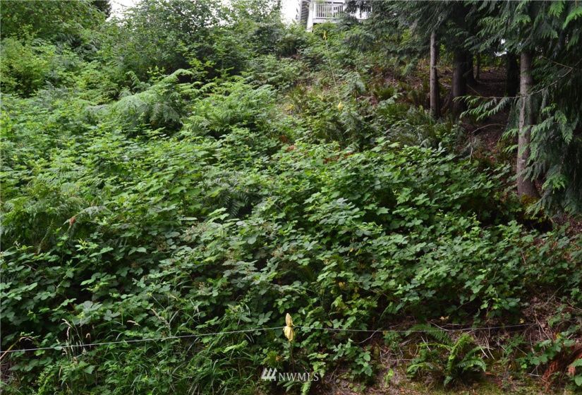 2333 Crestridge, Olympia, Washington 98502, ,Land,For Sale,Crestridge,NWM1873180