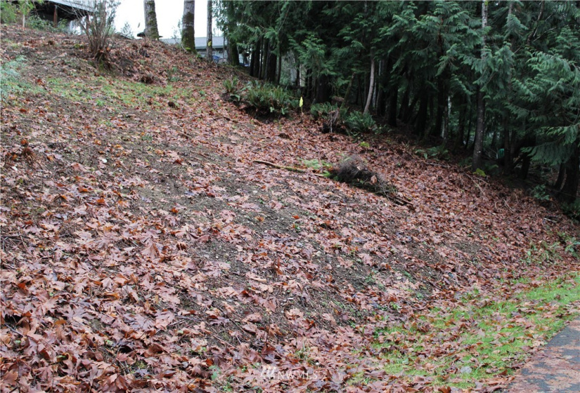2333 Crestridge, Olympia, Washington 98502, ,Land,For Sale,Crestridge,NWM1873180