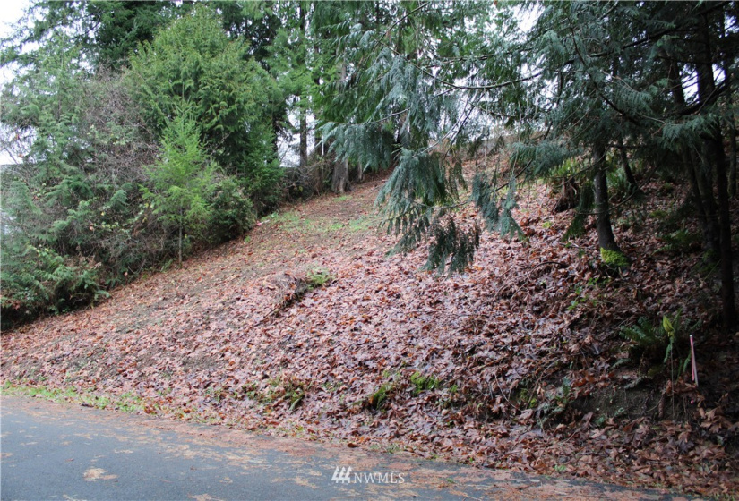 2333 Crestridge, Olympia, Washington 98502, ,Land,For Sale,Crestridge,NWM1873180
