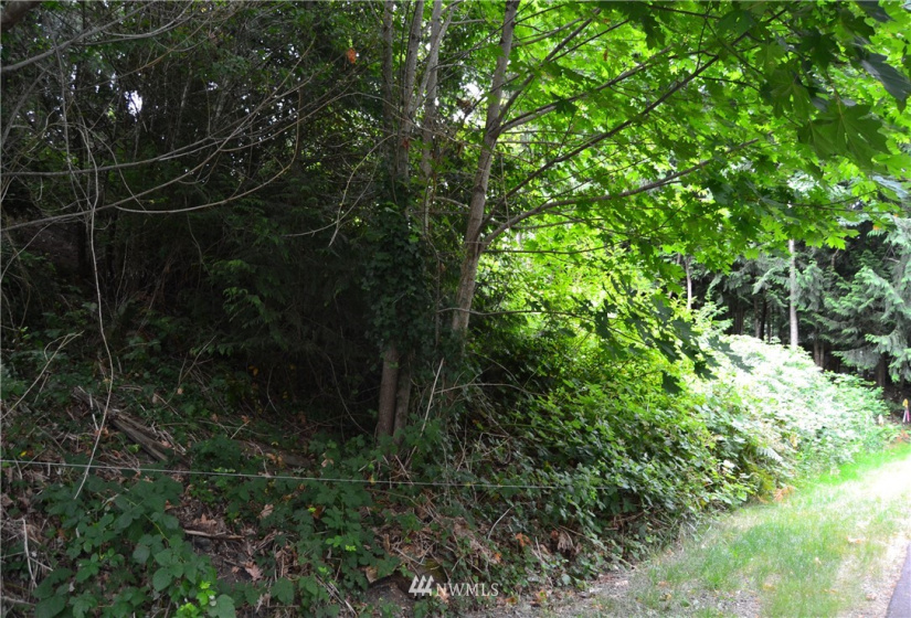 2333 Crestridge, Olympia, Washington 98502, ,Land,For Sale,Crestridge,NWM1873180